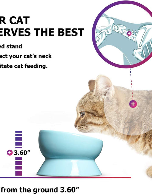 Load image into Gallery viewer, Elevated Cat Food Bowl, Raised Pet Food and Water Bowl, Cat and Small Dog Bowl, Tilted Ceramic Cat Water Bowl No Spill,15Oz, Dishwasher Safe
