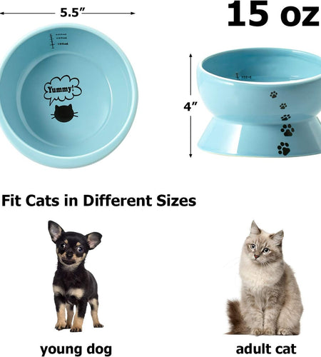 Elevated Cat Food Bowl, Raised Pet Food and Water Bowl, Cat and Small Dog Bowl, Tilted Ceramic Cat Water Bowl No Spill,15Oz, Dishwasher Safe