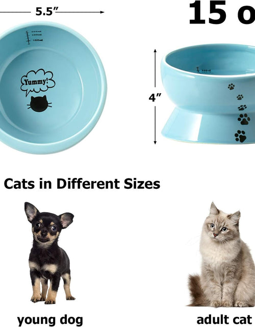 Load image into Gallery viewer, Elevated Cat Food Bowl, Raised Pet Food and Water Bowl, Cat and Small Dog Bowl, Tilted Ceramic Cat Water Bowl No Spill,15Oz, Dishwasher Safe
